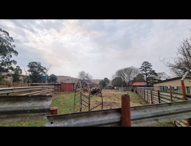FARM FOR SALE IN NEWCASTLE RURAL